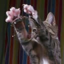 Dr. Lavrentiy Rubtsov